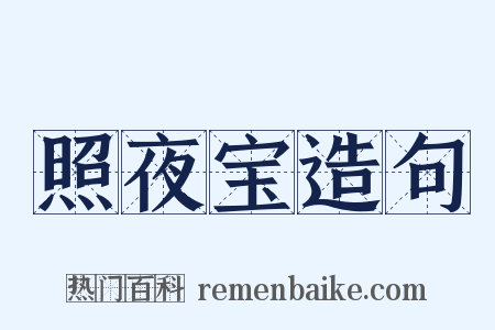 照夜宝造句是什么意思的图片